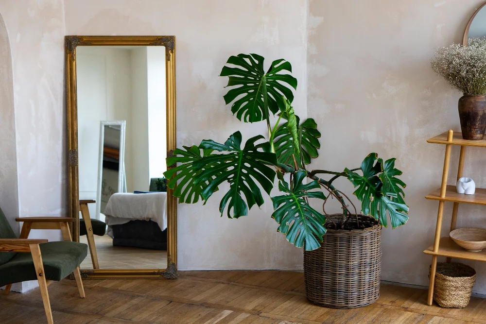 belini nábytek Interiér ve stylu urban jungle – podívej se, jak ho zařídit 10 Interiér ve stylu urban jungle
