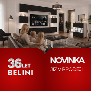 meblościanka heban 300x300 cz